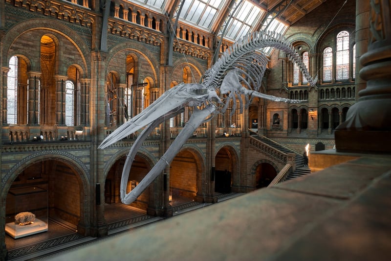 British Museum in Victorian London